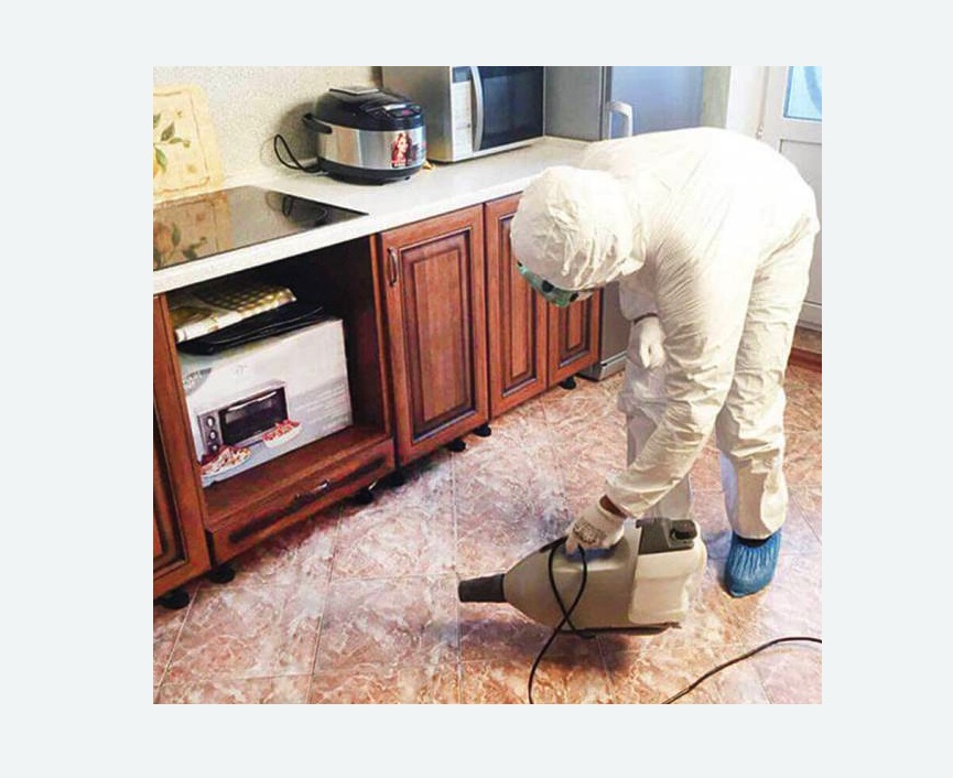 Уничтожение КЛОПОВ в Полевском – Обработка с гарантией, Цена от 900 р.